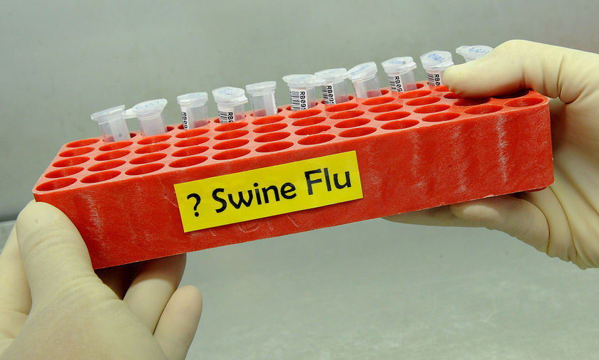 Delhi's swine flu tally touches 8,501